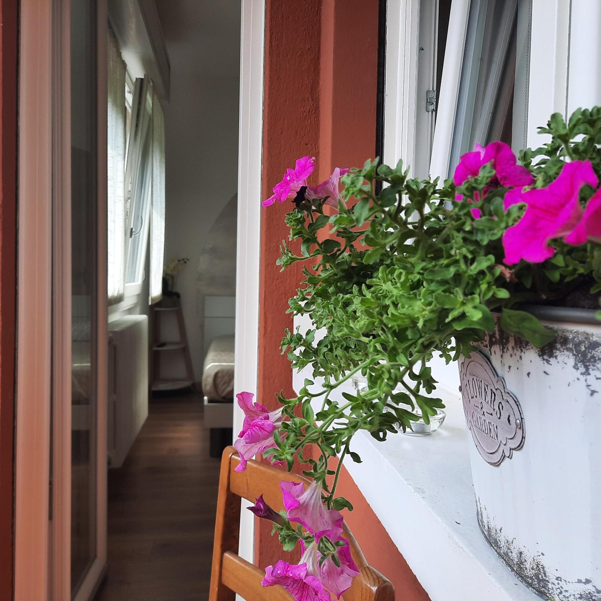 Sprio House Daire Omegna Dış mekan fotoğraf